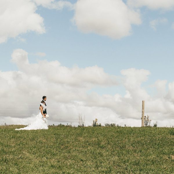 scott-webb-228671-unsplash